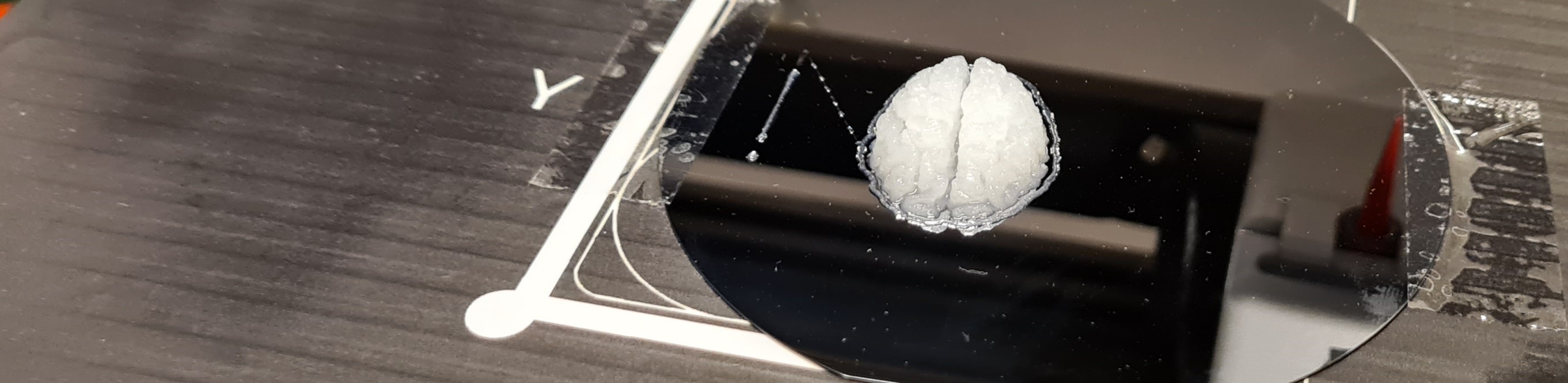 Print on Wafer